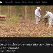 Reportagem sobre nosso apiário – Programa Nosso Campo – TV Tem